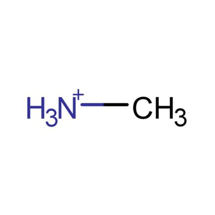 Ch3nh3+ - How To Discuss