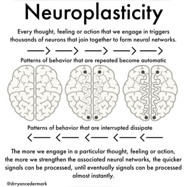 Neuroplasticity Ib Psychology - How To Discuss